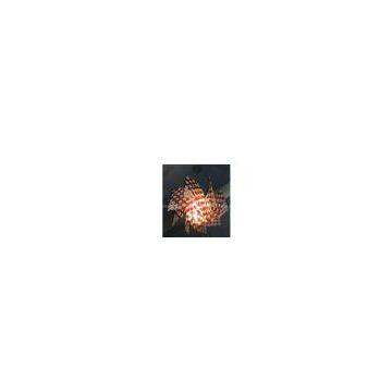 Pendant lamp FUD-88817