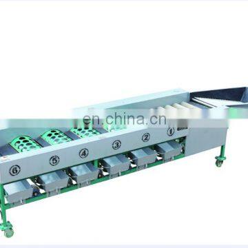 Multi-Purpose fruit washing and sorting machine apple cleaning sorting machine