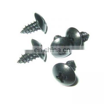 Metric Bugle Head Phillips Black Drywall Screws used in Wood