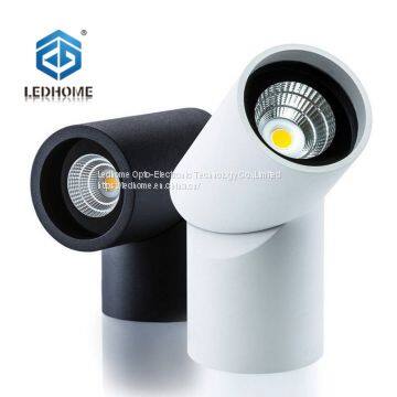 surface mounted adjustable downlight