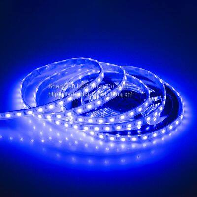 Waterproof Outdoor Swimming Pool Light 60 Leds 220V LED Strip Light photo-4
