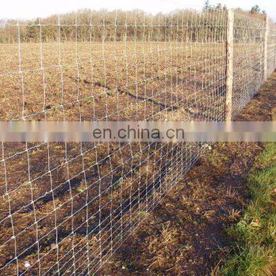 Veldspan Field Fence Wire Mesh Fence Galvanized Fencing Wire Farm in Good Price