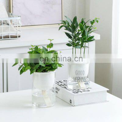 New Product Auto Ceramic Planter Succulent Flower Plant Planter Self Watering Pots photo-4