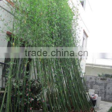 bamboo tree decoration cheap artficial bamboo artificial lucky bamboo