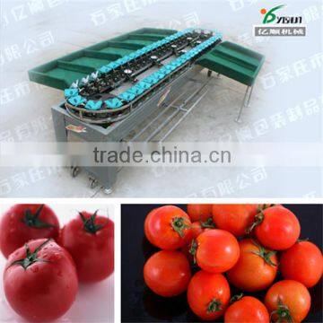 Tomato grading machine factory price YSXS-38-7-50
