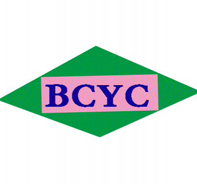 Dongguan Baocheng Screen Printing Equipment Co., Ltd