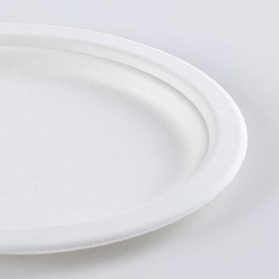 Disposable Biodegradable Bagasse 7*10 Inch Oval Plate Take Away Sugarcane photo-5