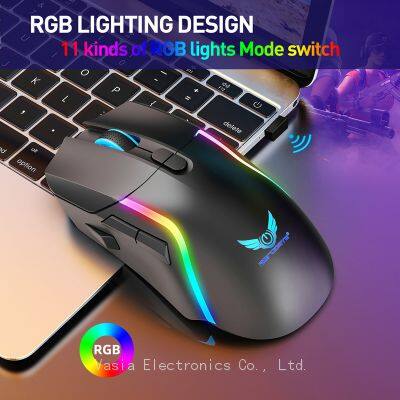 China Factory Black Opto-electronic RGB lighting Ergonomic usb c rechargeable wireless mouse 10M distance