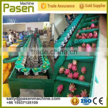 mango grading machine , fruit mango grading machine , automatic mango grading machine