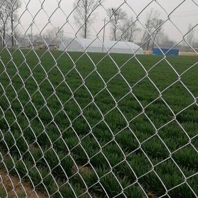 Galvanized Chain Link Fence with 2.5mm Wire Diameter for Industrial Security