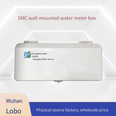 Lubao Smc Fiberglass Water Meter Box Manufacturer for Rural Tap Water Pipeline Network Renovation, Wall-mounted and Exposed Installation for Household Use