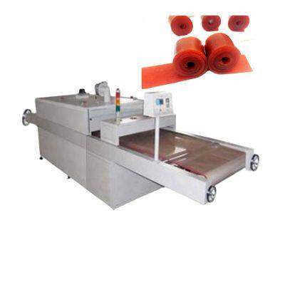 Factory Automatic Fruit Roll up Scraping Forming Drying Cutting Making Processing Machine Fruit Leather Production Plant Line