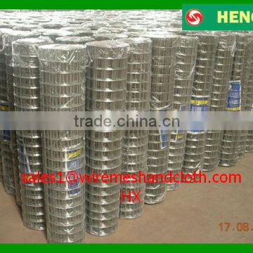 1/4 inch Hot dipped galvanized welded wire mesh