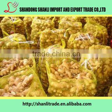 Farmer Supply 150g+ Chinese Fresh Ginger Organic/wholesale Ginger photo-3
