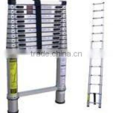 telescopic ladder