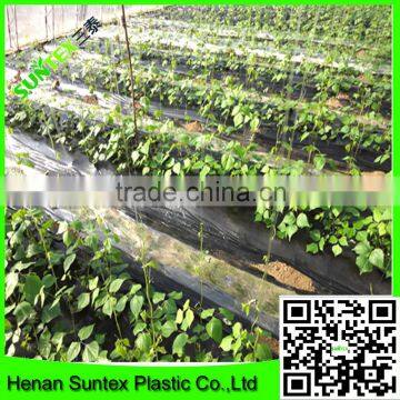 high quality agricultural polyethylene mulch covering film/agricultural mulch new film /transparent mulch film