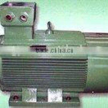 YPT Series Variable-frequency Adjustable-speed Three-phase Induction Motors