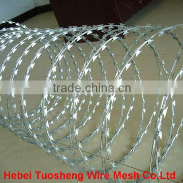 high-quality concertina wire hot sale (China factory)