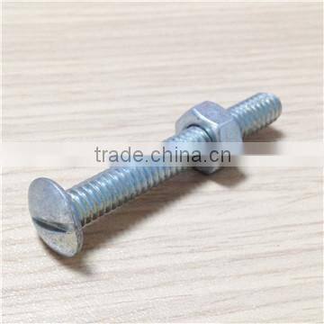 Grade 4.8 slotted galvanized roof screw with hex nut