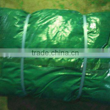 High Tear Resistant Transparent pe Tarpaulin Sheet,PE Tarpaulin,tent Material, Waterproof Leno Tarpaulin Sheet