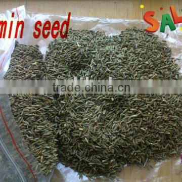 cumin seed