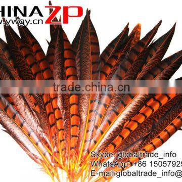 CHINAZP Factory Exporting Wholesale High Quality Dyed Orange Lady Amherst Pheasant Tail Feathers for DIY Decorations photo-2