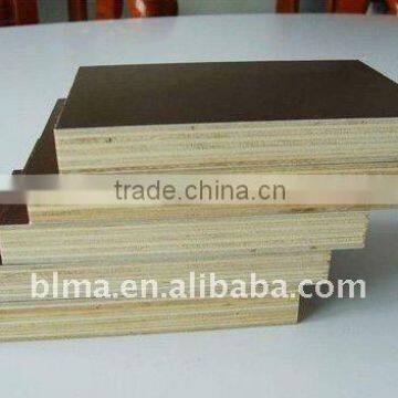 Good quality and low price fancy plywood