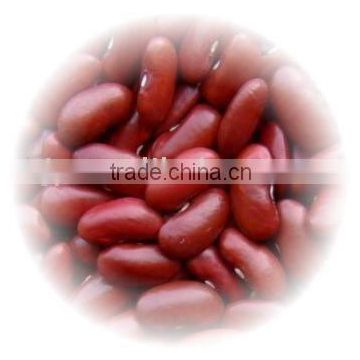 Red kidney Bean