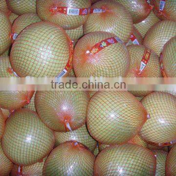 fresh fruit shaddock pomelo