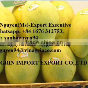FRESH MANGO