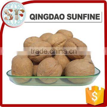 Fresh walnuts sapling for sale