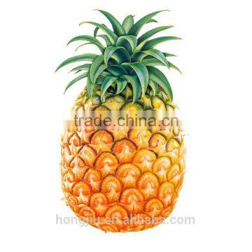 High Quality Bromelain Powder
