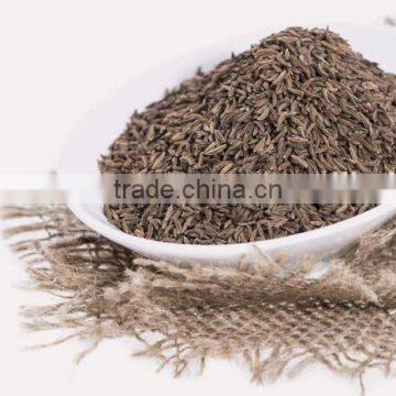 High Quality Cumin Seed photo-3
