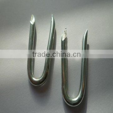 Galvanized U type nails