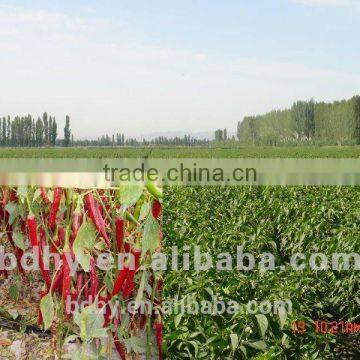Irrigation Drip Tape With Flat Dripper for Agriculture photo-5