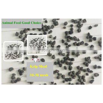 Wholesale Price of Natural Feed Additives Kelp Meal