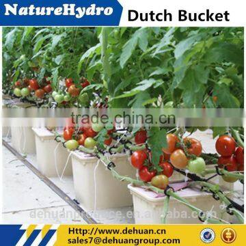 Compete Price Dutch Bucket Pots Hydroponics System Equipment