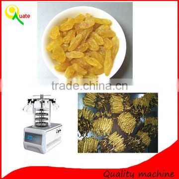 Factory Outlet best price fruit vacuum freeze drier