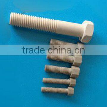 Wear Resistance and Chemical Resistance PEEK Screw photo-4
