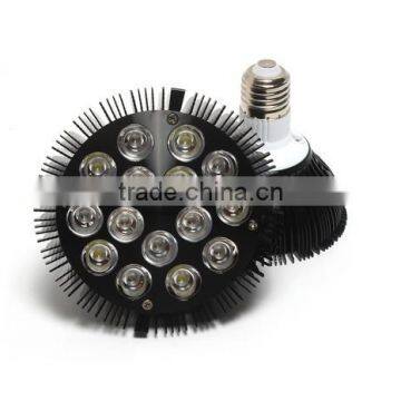 the Newest Design Led Submersible Aquarium Spot Light for Your Fish and Coral Reef photo-4