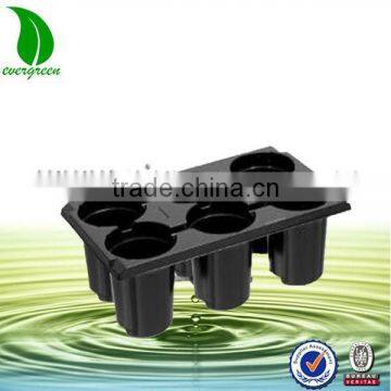 6 cells fruit seed tray