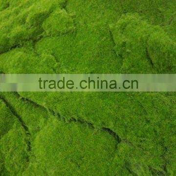 SJ141102 Artifiical Moss Carpet Mat for Garden Decoration photo-2