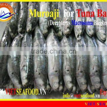 FROZEN W/R MUROAJI FOR TUNA BAIT photo-4