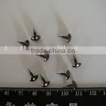 high quality screw cap nail(factory)