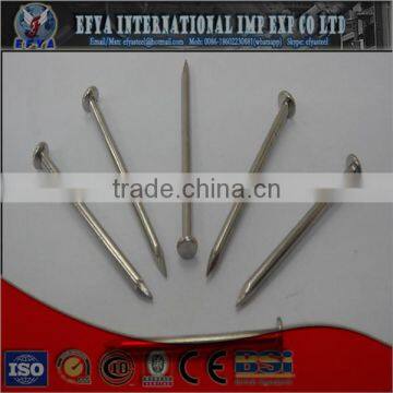 common nail