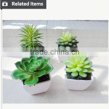 Artificial Succulent Home Decorative Tropical Plants Small Manufacturing Plant photo-5