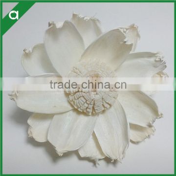 Sola Wood Paper Flower for Reed Diffuser