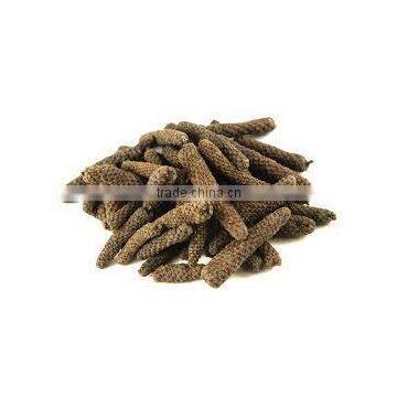 Piper Longum Dry Extract photo-3