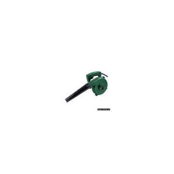 Portable Blower