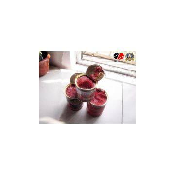 Sweet and Sour Nilton Tomato Paste Ketchup